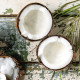 Coconut Oil Formula